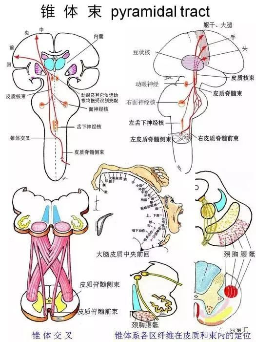 milan米兰