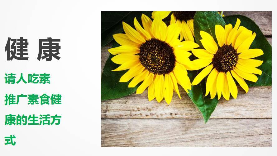 milan米兰app官网