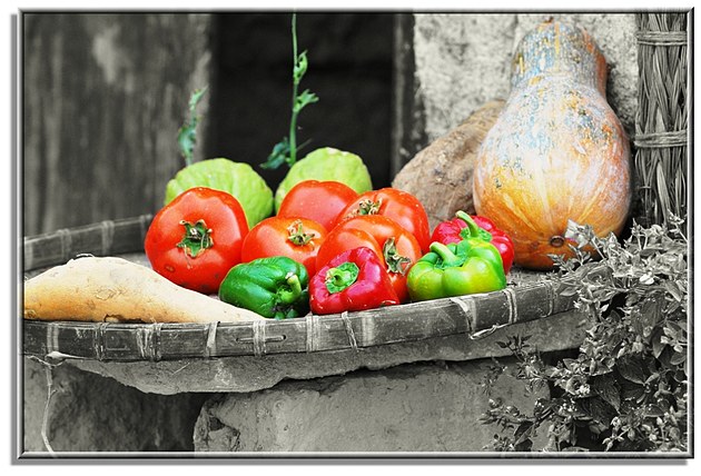 milan米兰app官网