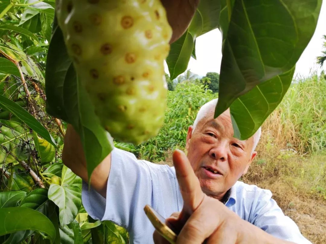 米兰官方网站